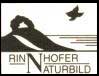 schwarz-weie Grafik: Hgel am Meer mit fliegendem Vogel im Vordergrund
