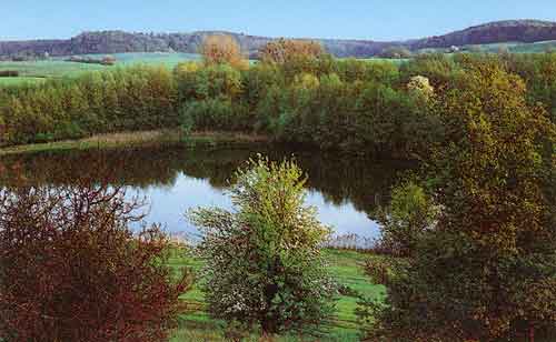 Wesensee bei Brodowin